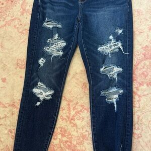 American Eagle Outfitters Blue Skinny Distressed Jeans